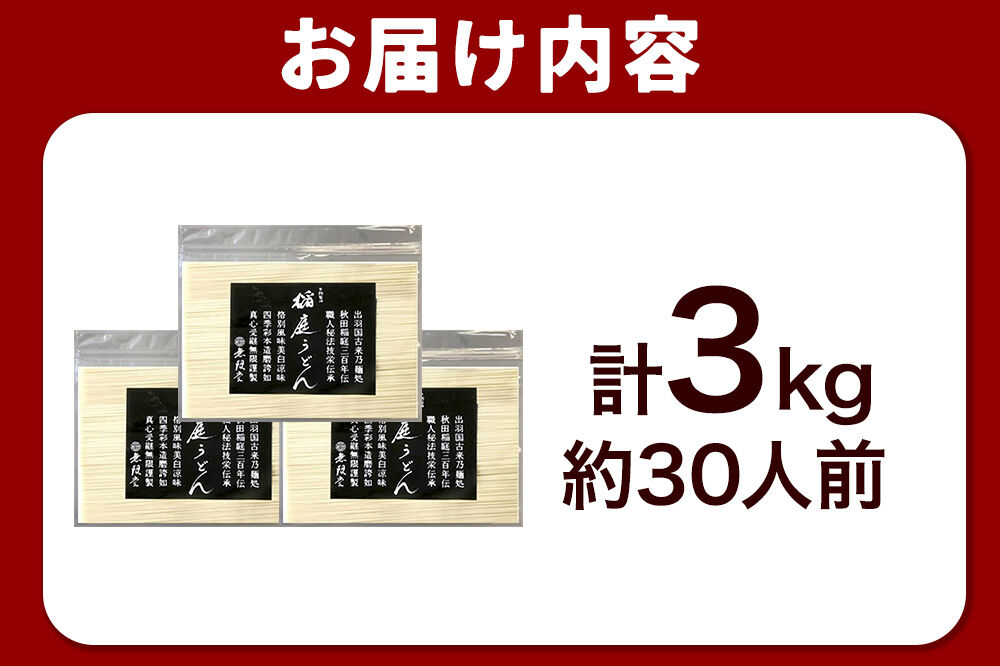 無限堂 稲庭うどん チャック袋入り 3kg（約30人前） 秋田 [細麺 細めん コシ いなにわ うどん 乾麺 干麺 干し麺 職人技 手造り]