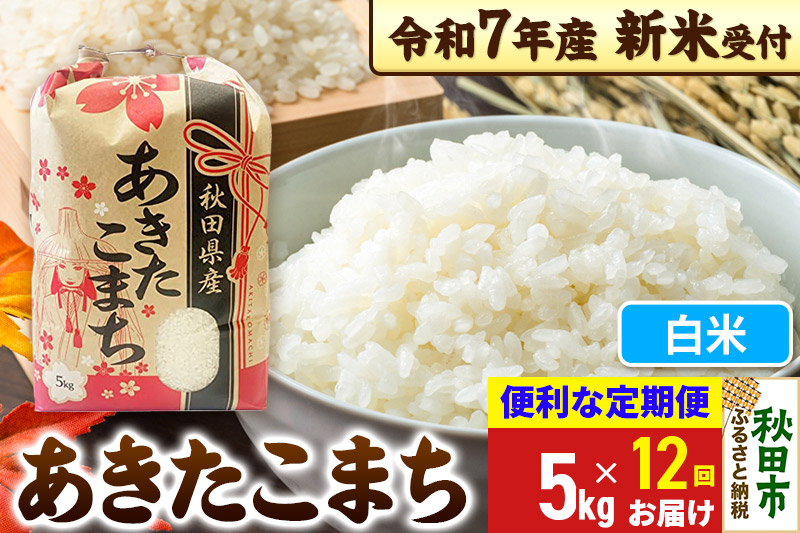 《令和7年産 新米受付》《定期便12ヶ月》 あきたこまち 5kg【白米】秋田県産 こまちライン