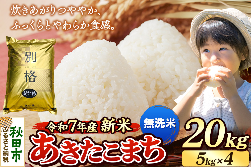 《令和7年産 新米》 米 あきたこまち 20kg（5kg×4袋） 【無洗米】 秋田県産