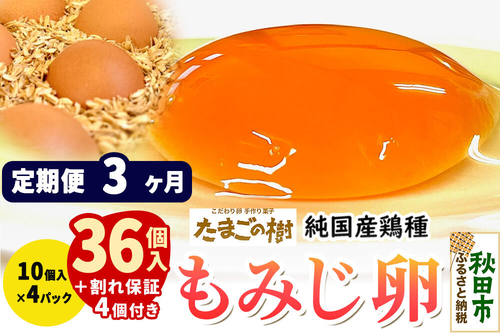 《定期便3ヶ月》 たまごの樹 純国産鶏種 卵『もみじ』36個+割れ保証4個付き（10個入×4パック） [たまご タマゴ 玉子 鶏卵 まとめ買い オムレツ 卵かけご飯 朝食 料理 美味しい 瀧田養鶏場]