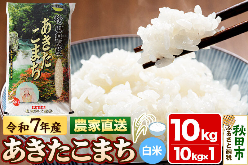 米 あきたこまち 10kg 令和7年産 白米 田口商店 農家直送 秋田県産 [米 あきたこまち 白米 秋田県産]