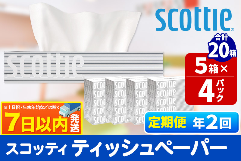 《6ヶ月ごとに2回お届け》定期便 ティッシュペーパー スコッティ 200組 20箱(5箱×4パック) ティッシュ レビューキャンペーン中 秋田市オリジナル