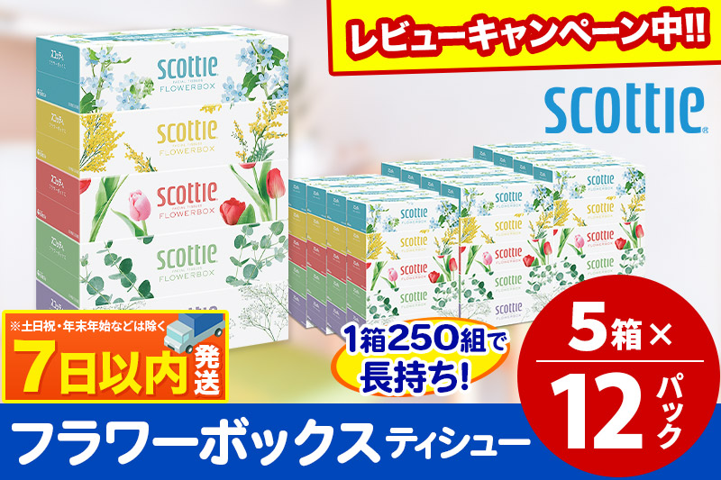 ティッシュペーパー スコッティ フラワーボックス250組 60箱(5箱×12パック) ティッシュ レビューキャンペーン中 日用品 7日以内発送