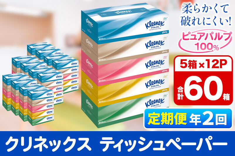 《6ヶ月ごとに2回お届け》定期便 ティッシュ クリネックス ティシュー 5箱×12パック [ティッシュ ボックスティッシュ 定期便]