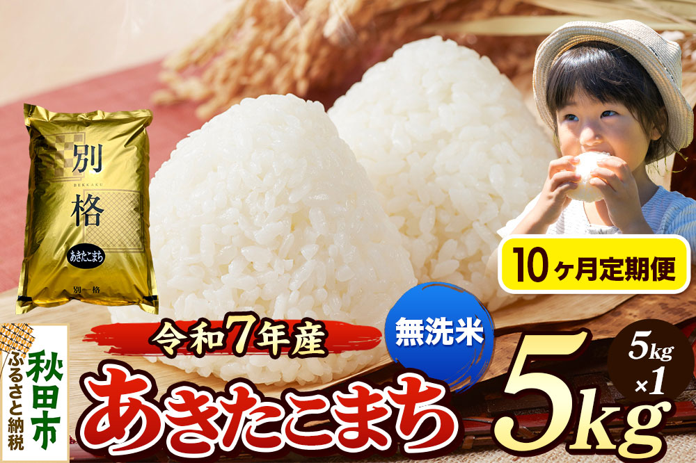 《令和7年産》《定期便10ヶ月》 米 あきたこまち 5kg 【無洗米】 秋田県産