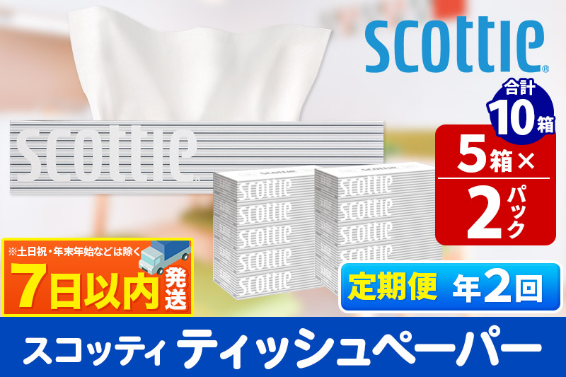 《6ヶ月ごとに2回お届け》定期便 ティッシュペーパー スコッティ 200組 10箱(5箱×2パック) ティッシュ レビューキャンペーン中 秋田市オリジナル