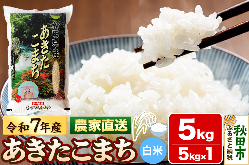 米 あきたこまち 5kg 令和7年産 新米 白米 田口商店 農家直送 秋田県産