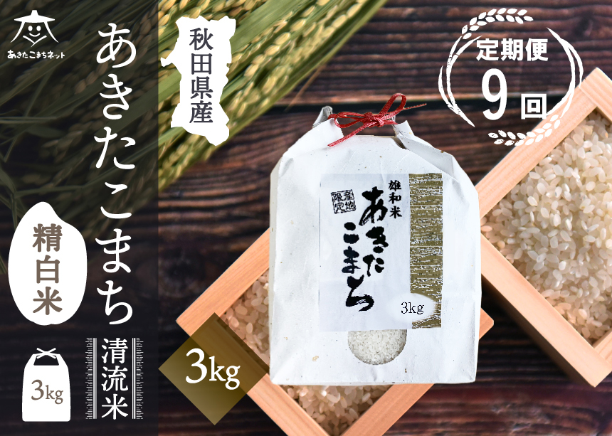 《定期便9ヶ月》あきたこまち 清流米 3kg【白米】 秋田市雄和産 [秋田県産 あきたこまち お米 精米 定期便 3kg 3キロ]