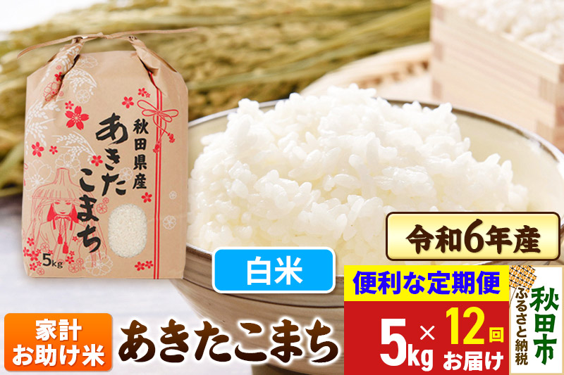 《定期便12ヶ月》 あきたこまち 家計お助け米 5kg 令和6年産 新米 【白米】秋田県産