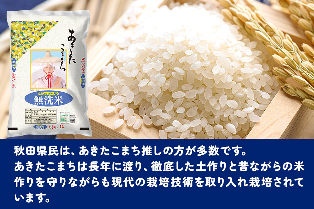 西武秋田店がおすすめする秋田の推し 秋田県産 あきたこまち【無洗米】10kg（5kg×2袋） [5kg袋 米 お米 秋田産 無洗米]