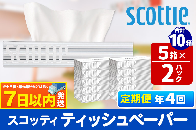 《3ヶ月ごとに4回お届け》定期便 ティッシュペーパー スコッティ 200組 10箱(5箱×2パック) ティッシュ レビューキャンペーン中 秋田市オリジナル