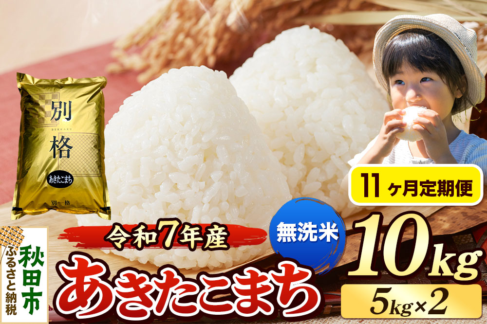 《令和7年産》《定期便11ヶ月》 米 あきたこまち 10kg（5kg×2袋） 【無洗米】 秋田県産