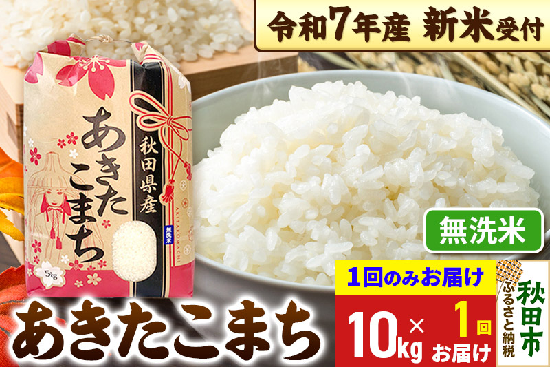 《令和7年産 新米受付》あきたこまち 10kg(5kg×2袋) 【1回のみお届け】【無洗米】秋田県産 こまちライン