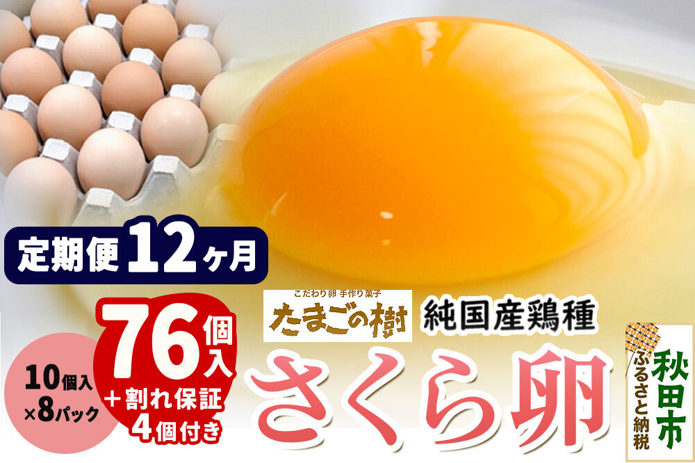 《定期便12ヶ月》 たまごの樹 純国産鶏種 卵『さくら』76個+割れ保証4個付き（10個入×8パック） [たまご タマゴ 玉子 鶏卵 まとめ買い オムレツ 卵かけご飯 朝食 料理 美味しい 瀧田養鶏場]