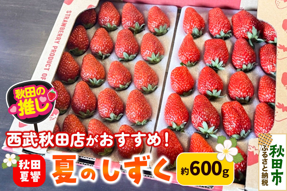 西武秋田店がおすすめする秋田の推し 秋田県産 いちご「秋田夏響」 なつひびき 約600g【先行受付】「夏のしずく」のブランド [イチゴ 苺 あまい いちご]