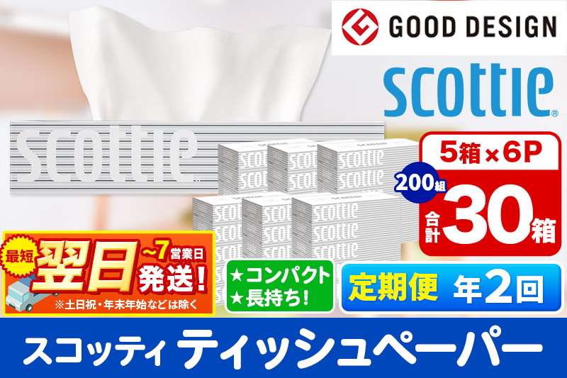 《6ヶ月ごとに2回お届け》定期便 ティッシュペーパー スコッティ 200組 30箱(5箱×6パック) ティッシュ 秋田市オリジナル【レビューキャンペーン中】