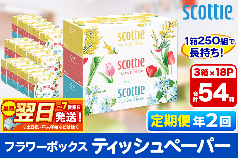 《6ヶ月ごとに2回お届け》定期便 ティッシュペーパー スコッティ フラワーボックス250組 54箱(3箱×18パック)  最短翌日発送【レビューキャンペーン中】