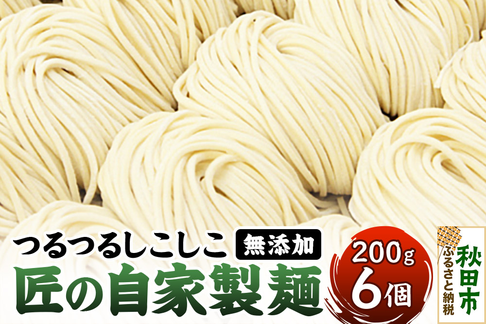 竹本商店 無添加で安心 つけ麺の麺 つるつるしこしこ「匠の自家製麺」 200g×6玉