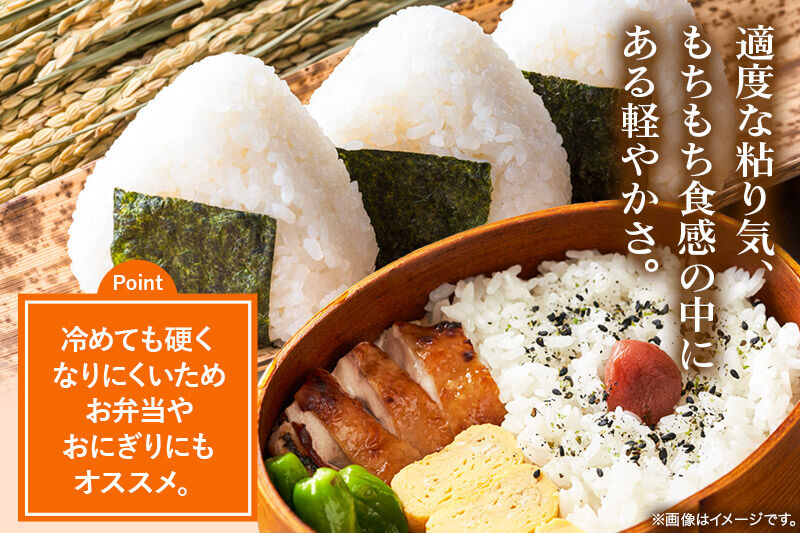 米 あきたこまち 10kg 令和7年産 白米 田口商店 農家直送 秋田県産 [米 あきたこまち 白米 秋田県産]