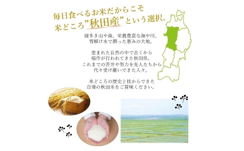 令和7年産 新米 食べ比べ セット 精米 白米 ひとめぼれ＆あきたこまち 各5kg 計10kg 秋田県 能代市産 お米 ブランド米