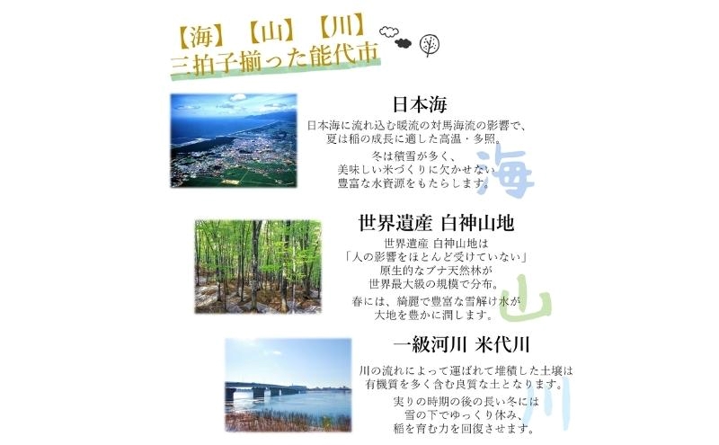令和7年産 新米 食べ比べ セット 精米 白米 ひとめぼれ＆あきたこまち 各5kg 計10kg 秋田県 能代市産 お米 ブランド米