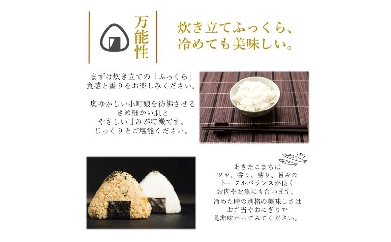 令和7年産 新米 食べ比べ セット 精米 白米 ひとめぼれ＆あきたこまち 各5kg 計10kg 秋田県 能代市産 お米 ブランド米