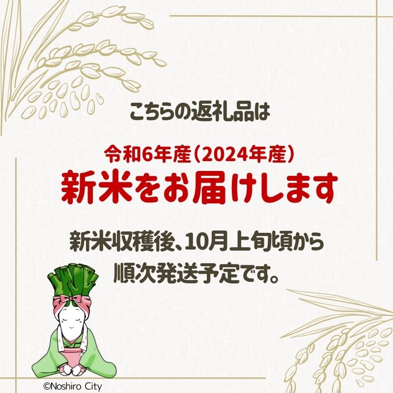 新米【白米】特別栽培米 秋田県産 あきたこまち 「かとうくん」 5kg 米屋が認めたお米 令和6年産