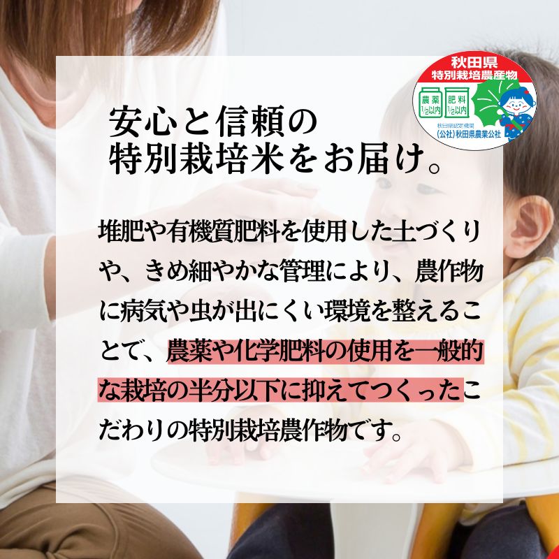 新米【白米】特別栽培米 秋田県産 あきたこまち 「かとうくん」 5kg 米屋が認めたお米 令和6年産