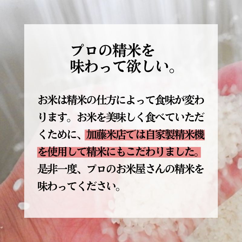 新米【白米】特別栽培米 秋田県産 あきたこまち 「かとうくん」 5kg 米屋が認めたお米 令和6年産