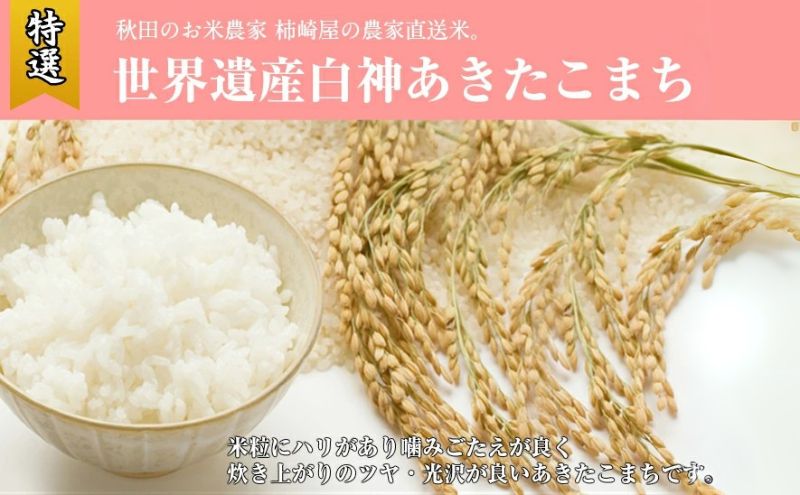 令和6年産 米 秋田県産 あきたこまち 10kg お米専門農家だからできる こだわりの産地直送米 白米 精米 こめ お米 おこめ 令和6年 産地直送 ご飯 ごはん 秋田こまち 秋田 秋田県 能代市