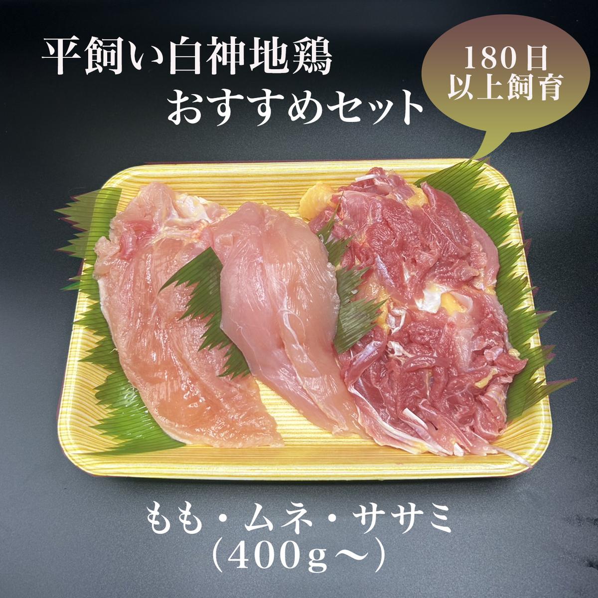 数量限定 比内地鶏 約400g～ 1パック 鶏肉 地鶏 国産鶏肉