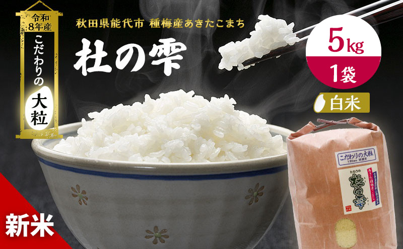 新米 先行予約 令和8年産【白米】秋田県産 あきたこまち 5kg「杜の雫」こだわりの大粒 種梅産【 お米 たねうめ 白米 精米 ご飯 ブランド米 大粒 おにぎり 産地直送 おこめ ごはん 】