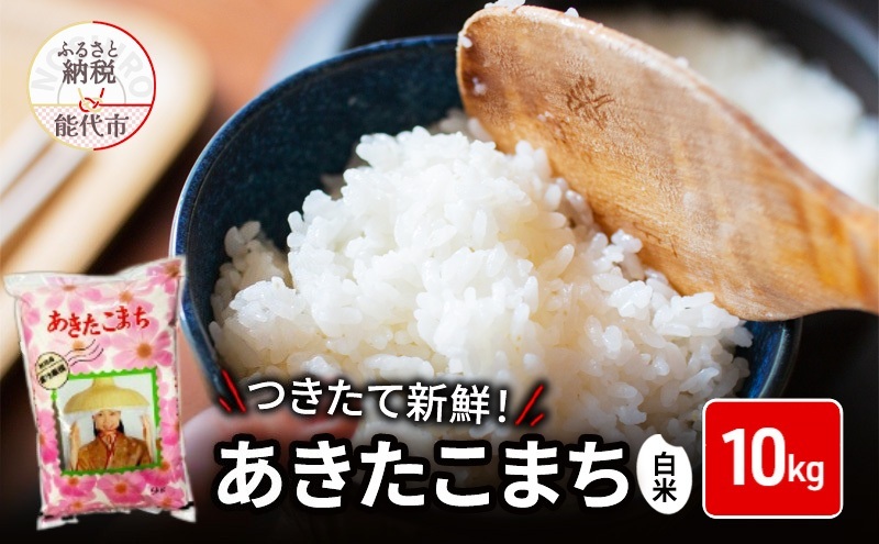 白米 ★つきたて新鮮★ うまい!! 本場のあきたこまち 10kg 精米 ご飯 ブランド米 おにぎり 令和7年産 産地直送 おこめ ごはん 秋田県 秋田 能代市