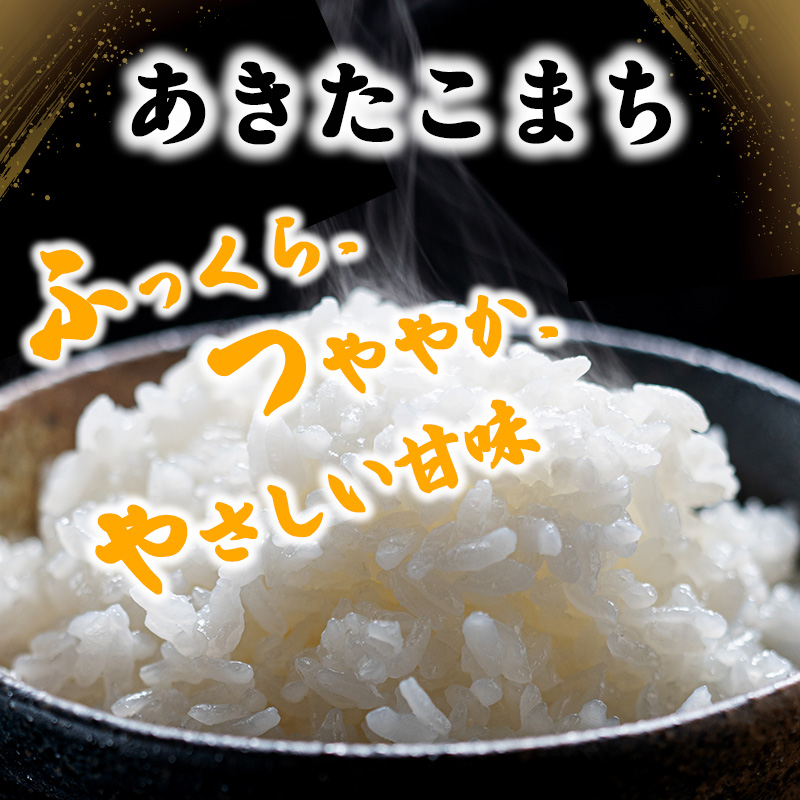 新米 米 お米 無洗米 孫兵衛のあきたこまち 10kg 秋田県 能代市産 令和6年産
