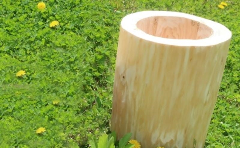 里山くらし応援 木工品 秋田杉の丸太プランター「生え杉くん（はえすぎくん）」縦長タイプ