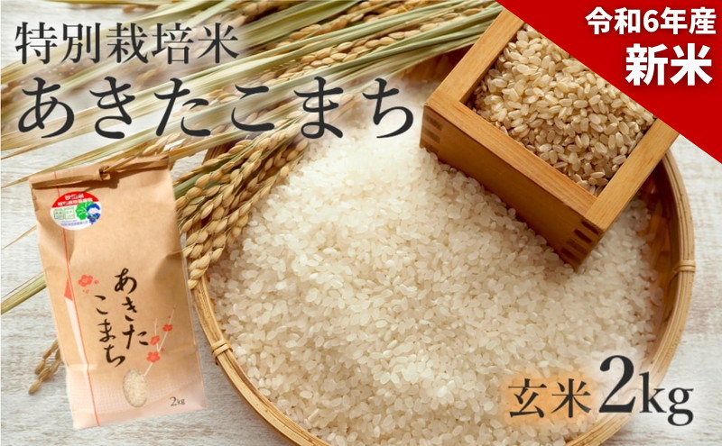 新米 米 お米 【玄米】特別栽培米 あきたこまち 2kg 秋田県産 令和6年産