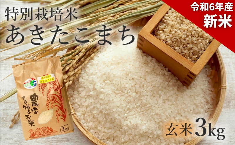 新米 米 お米 【玄米】特別栽培米 あきたこまち 3kg 秋田県産 令和6年産