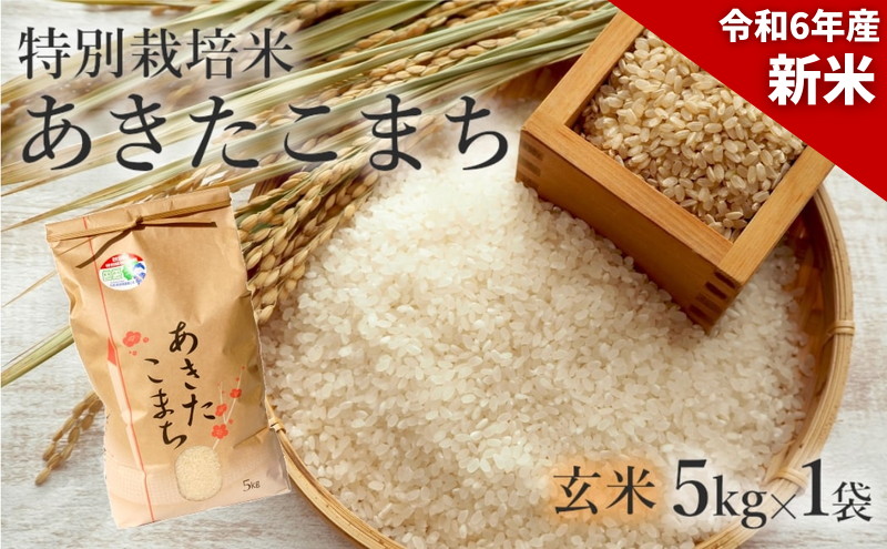 新米 米 お米 【玄米】特別栽培米 あきたこまち 5kg 秋田県産 令和6年産