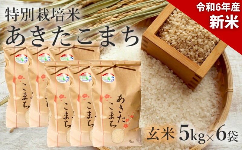 新米 米 お米 【玄米】特別栽培米 あきたこまち 30kg（5kg×6袋） 秋田県産 令和6年産