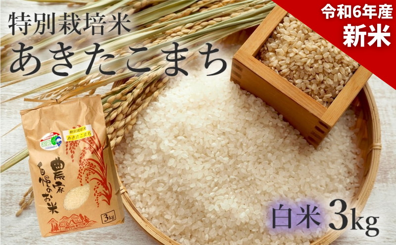 新米 米 お米 【白米】特別栽培米 あきたこまち 3kg 秋田県産 令和6年産