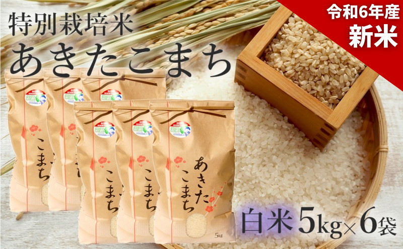 新米 米 お米 【白米】特別栽培米 あきたこまち 30kg（5kg×6袋） 秋田県産 令和6年産