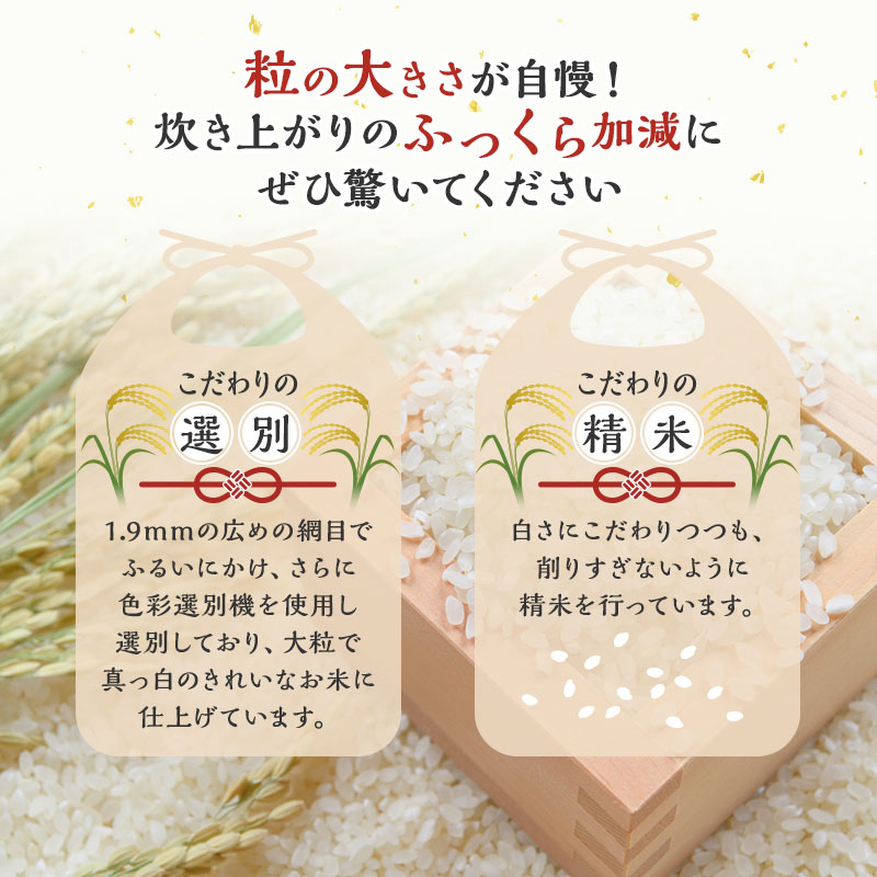【白米】秋田県産 あきたこまち 10kg アグリ檜山米 令和5年産