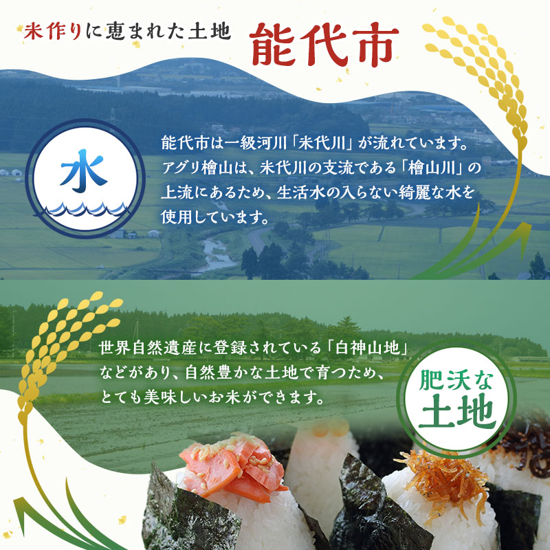 【白米】秋田県産 あきたこまち 10kg (5kg×2袋) アグリ檜山米 令和5年産