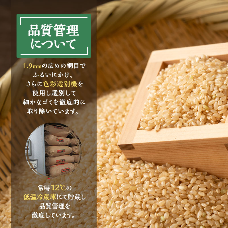 玄米 令和7年 秋田県産 あきたこまち 30kg 新米 米 お米 おこめ こめ コメ 令和7年産 ブランド米 ご飯 秋田 秋田県 能代市