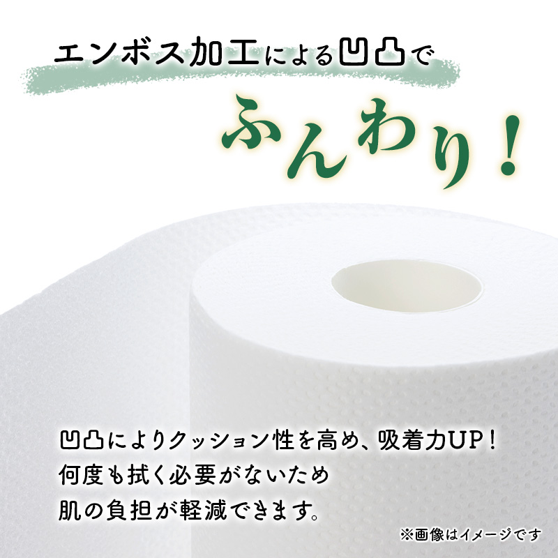 トイレットペーパー ブランカ 12R ダブル （30ｍ×2枚）×8パック 96個 日用品 消耗品 114mm 柔らかい 無香料 芯 大容量 トイレット トイレ といれっとペーパー ふるさと 納税