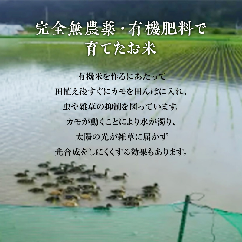 《定期便6ヶ月》【七分米】JAS有機米 きみまちこまち 4kg （2kg×2袋）秋田県産 あきたこまち 令和6年産