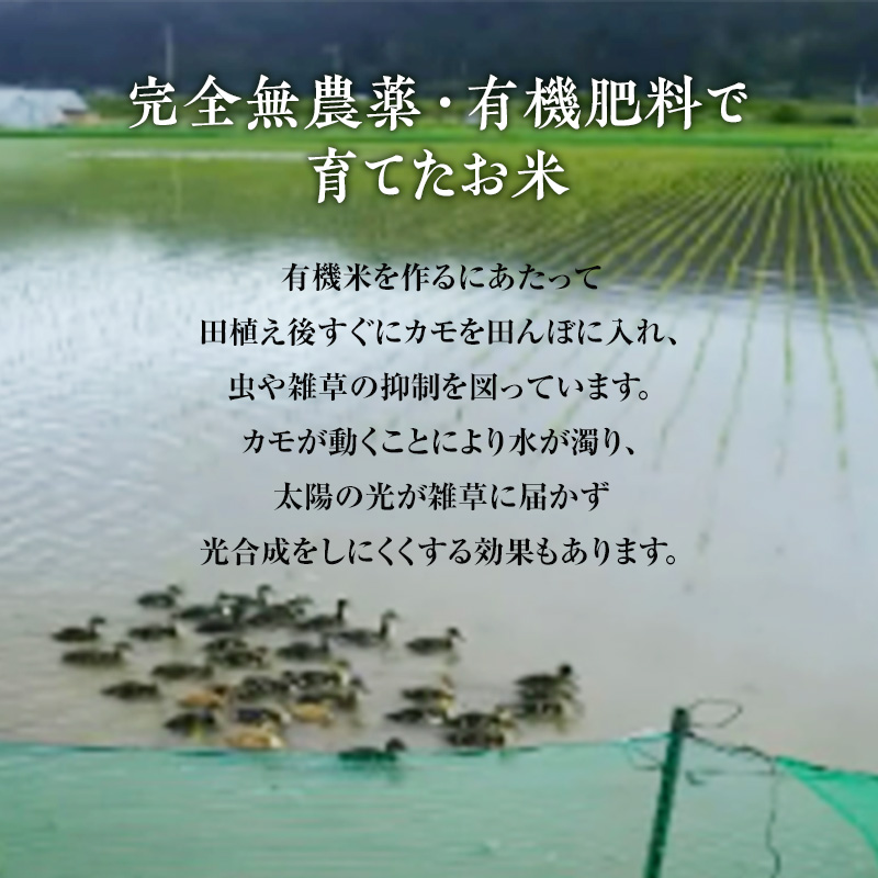 【玄米】JAS有機米 きみまちこまち 4kg （2kg×2袋）秋田県産 あきたこまち 令和5年産