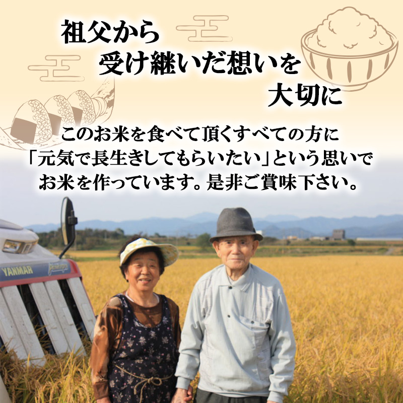 新米 米 お米 白米 孫兵衛のあきたこまち 5kg 秋田県 能代市産 令和6年産