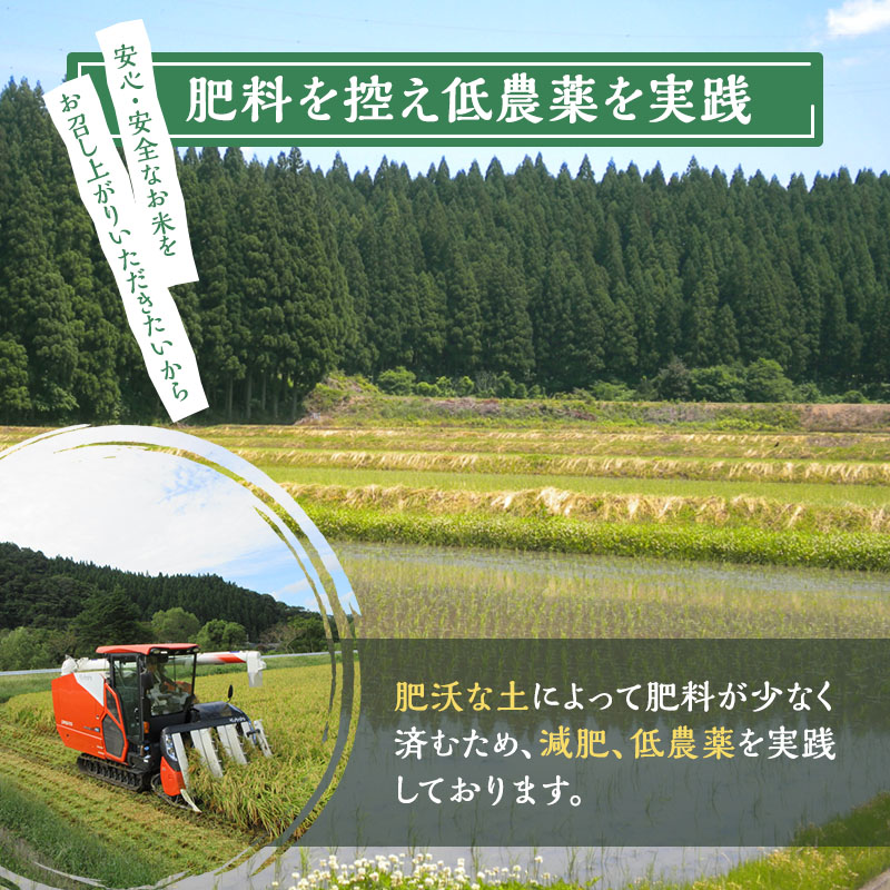 新米 9月下旬から順次発送 《定期便2ヶ月》【玄米】秋田県産 あきたこまち 5kg×2回 合計10kg アグリ檜山米 令和6年産