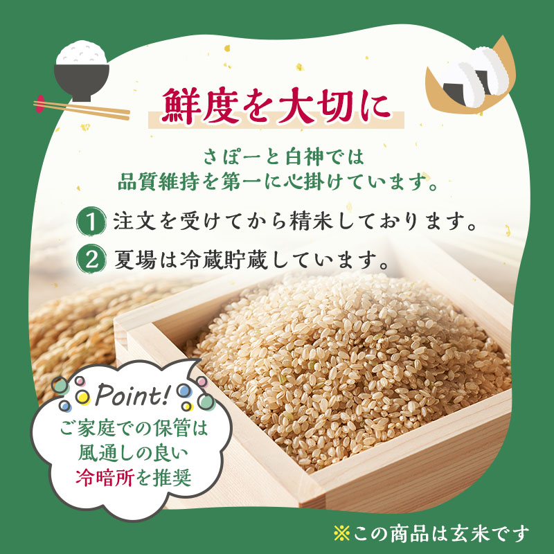 新米 米 お米 【玄米】秋田県産 あきたこまち 10kg×1袋 あきた種梅産こまち 杜の雫 こだわりの大粒 令和6年産